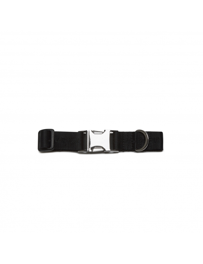 ZNY Dog Collar