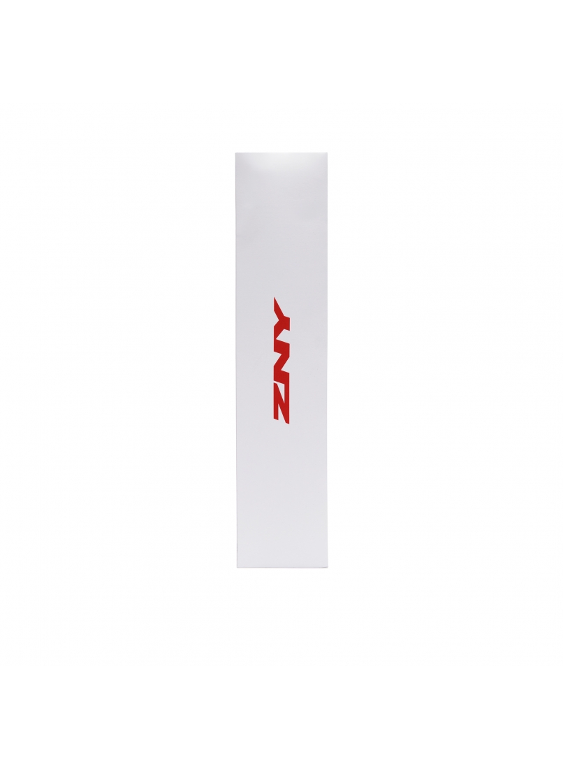 БЛАГОВОНИЯ ZNY INCENSE