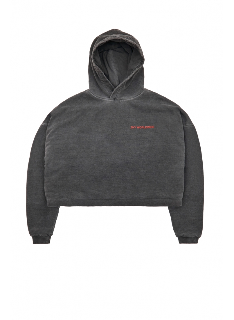 Худи ZNY