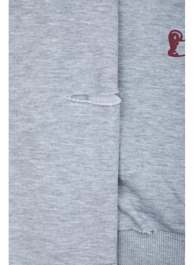 Свитшот ZNY LOGO GREY