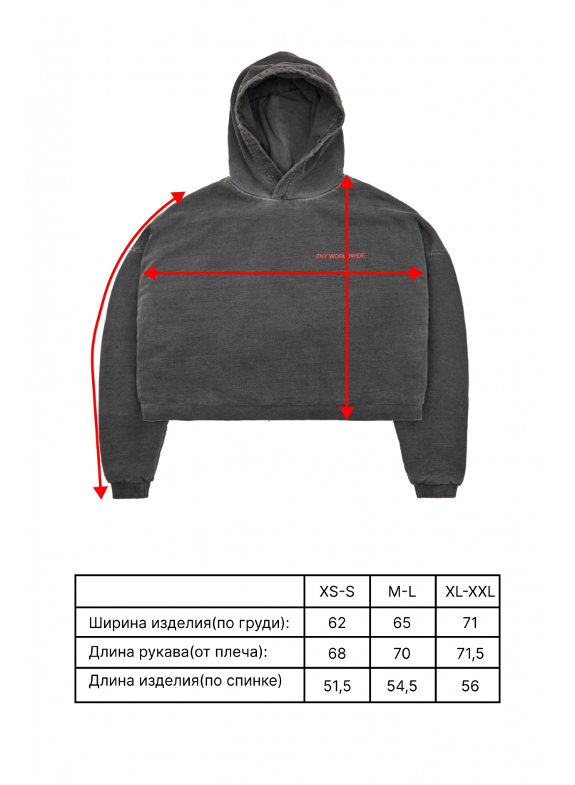 Худи ZNY